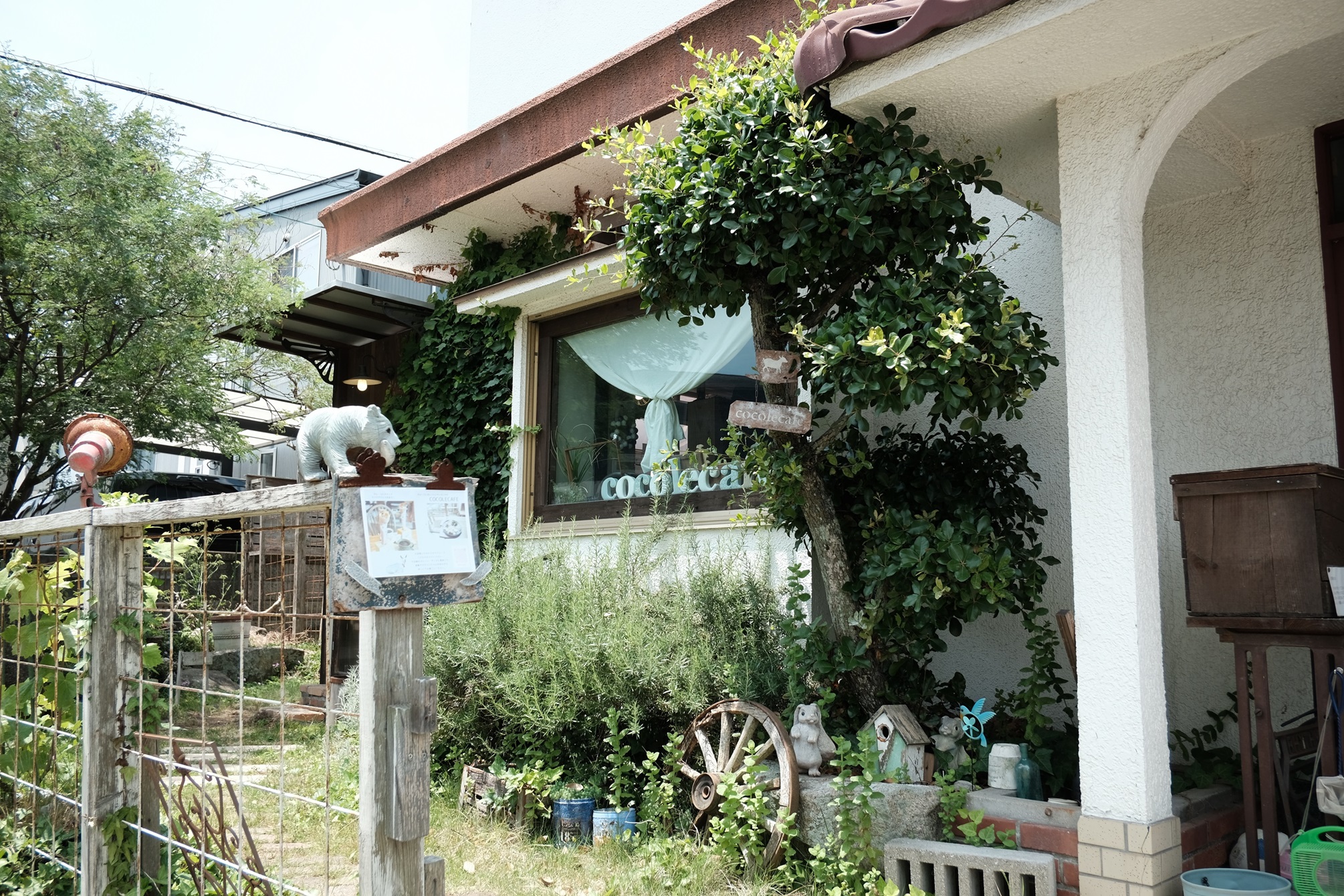 投稿についてもっと詳しく cocolecafe