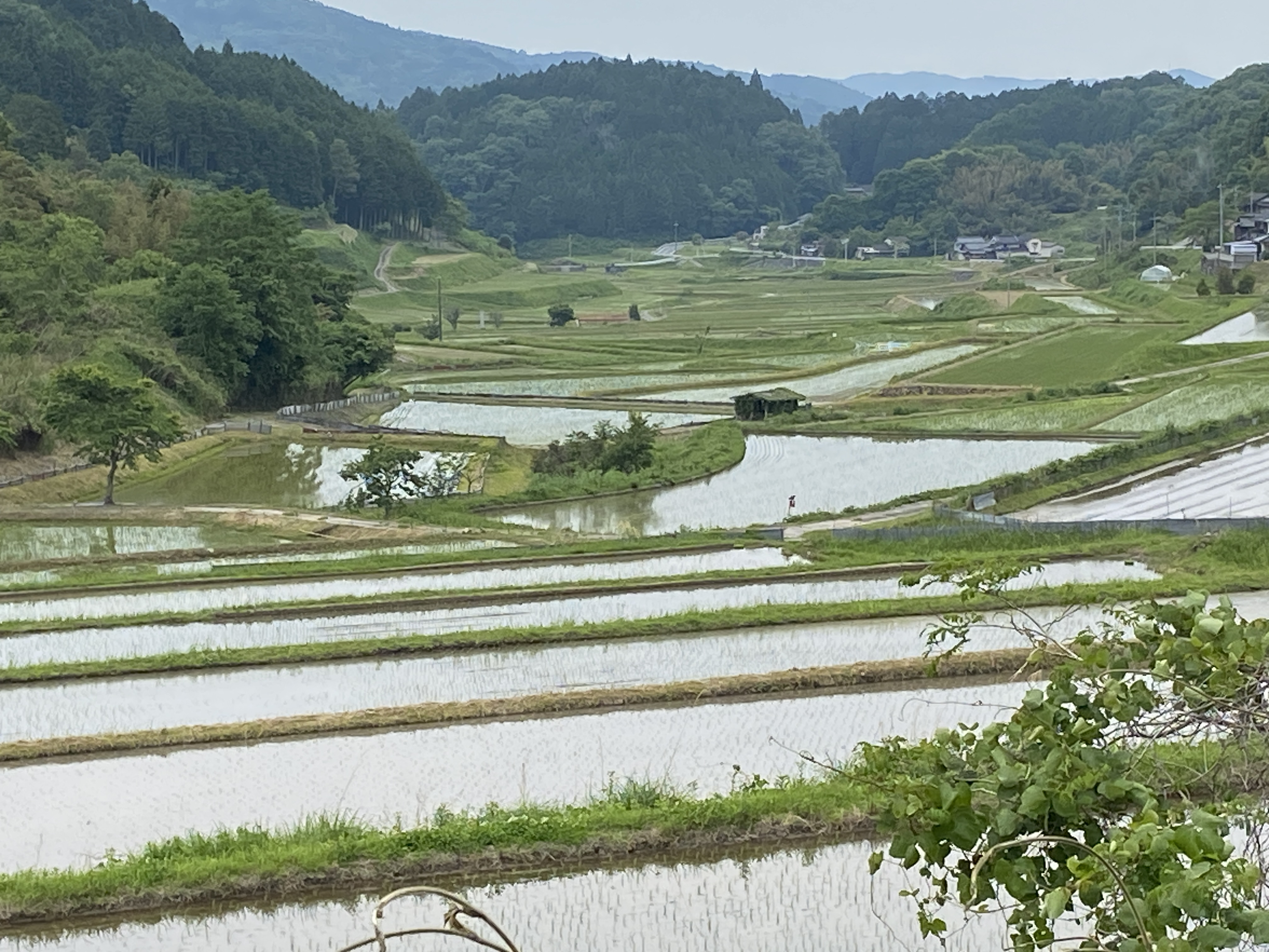 ★★02-1 豊野