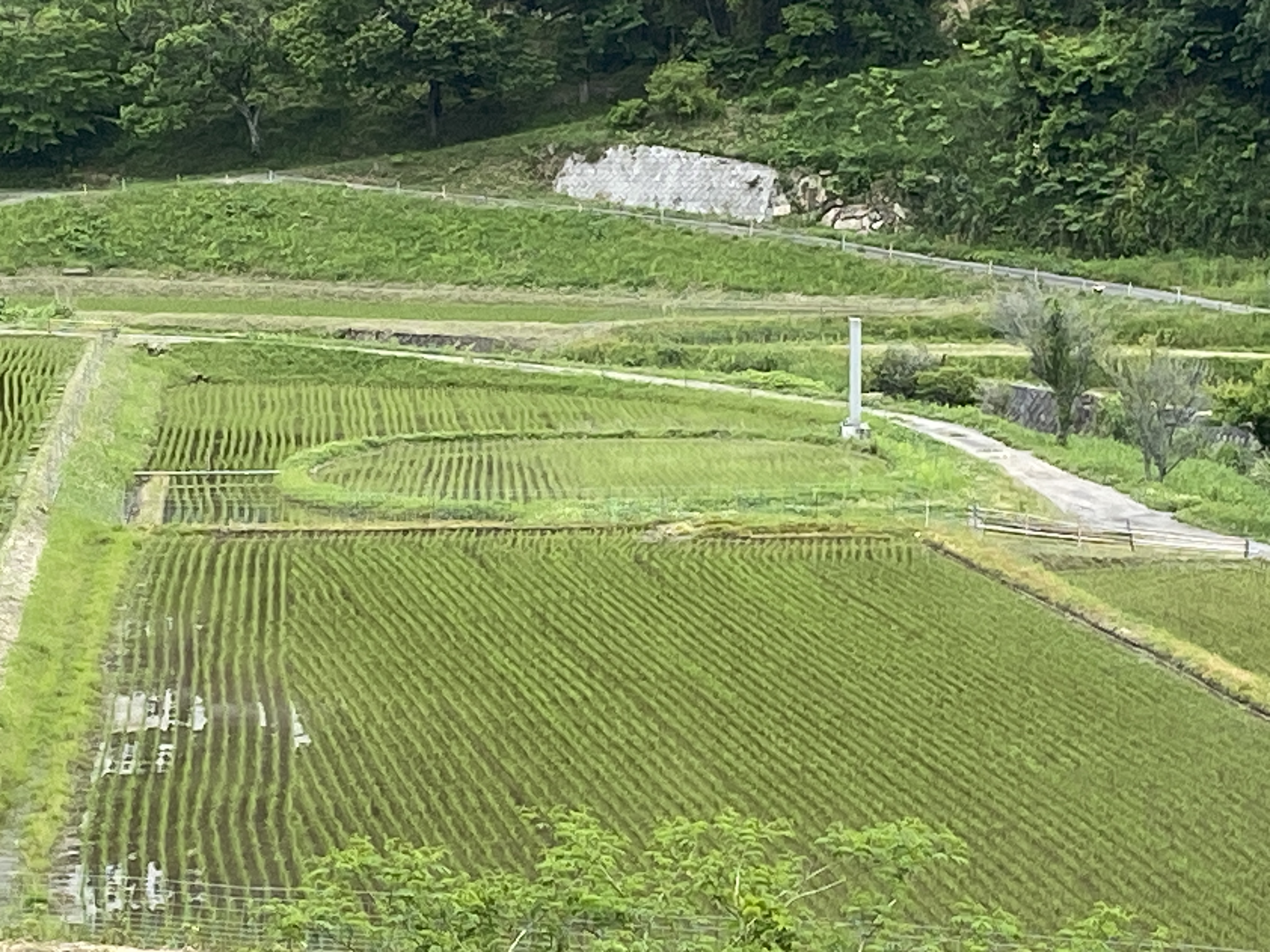 ★02-3 豊野(主基田伝承地)